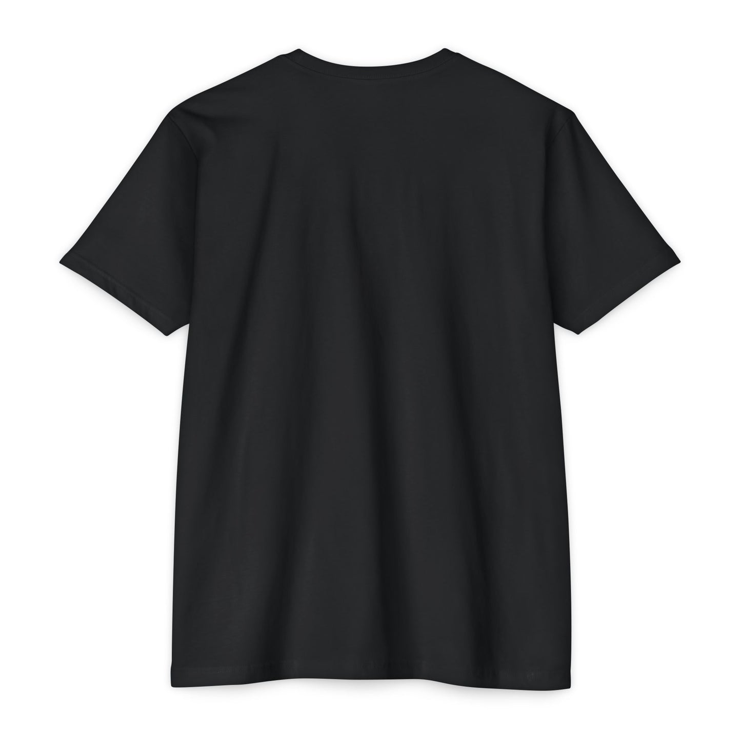 Washington Mountains T-Shirt — Vintage State Park Peaks Tee