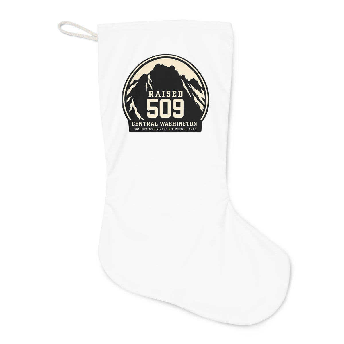 Santa Stocking