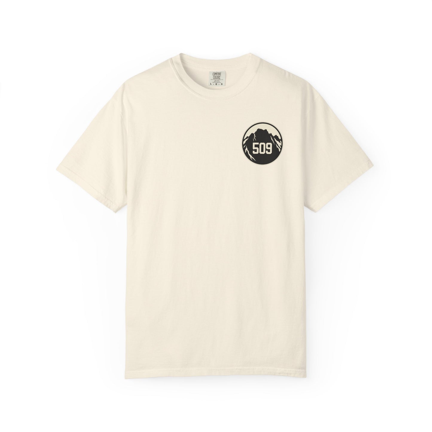 Roslyn Washington Mountain T-Shirt | PNW Graphic Tee | Washington Hiking Shirt | Cle Elum Gift | Pacific Northwest Tee