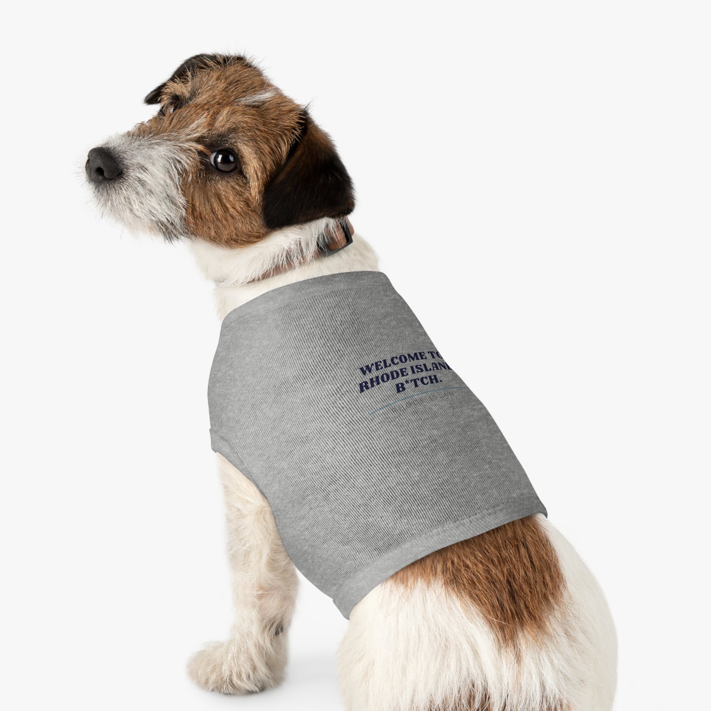 Rhode Island Dog Shirt Pet Clothes Welcome To Rhode Island B*tch Funny Puppy Tee