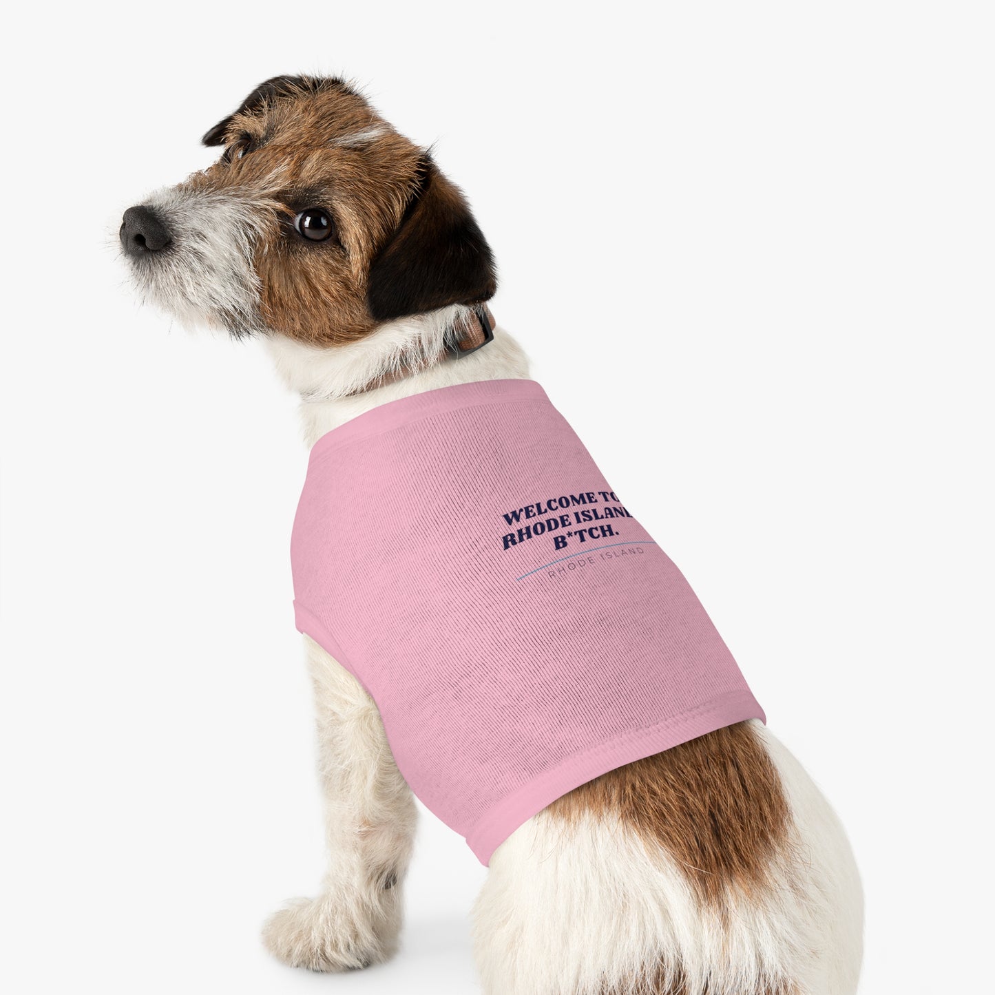 Rhode Island Dog Shirt Pet Clothes Welcome To Rhode Island B*tch Funny Puppy Tee