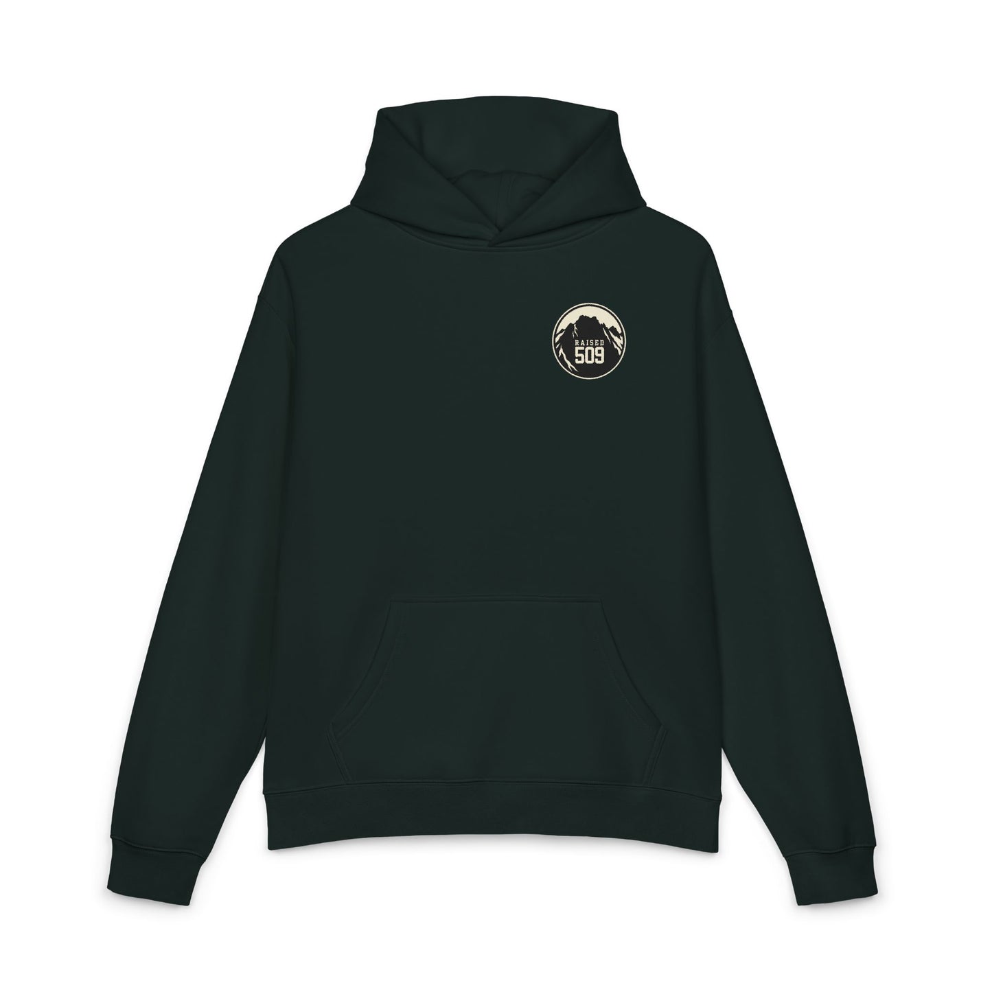 Raised 509 Central Washington Hoodie, Pacific Northwest Sweatshirt, Mountain Hoodie, WA Pride Hoodie, Unisex Outdoor Hoodie