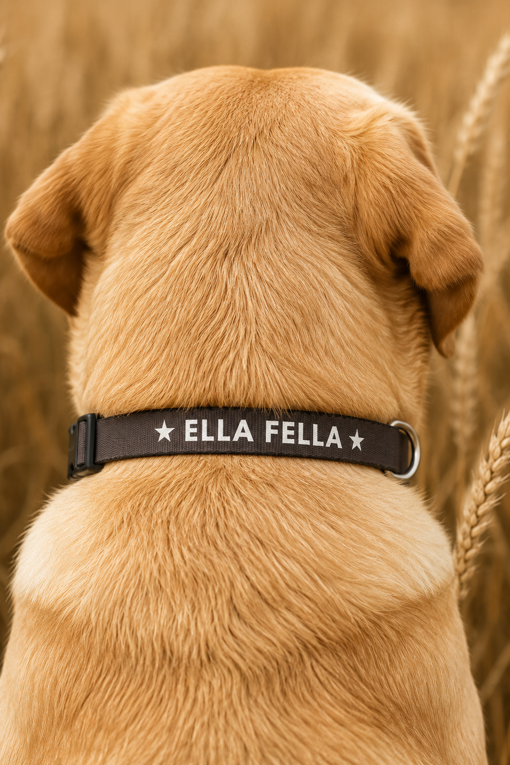Ella Fella Brown Dog Collar, Western Dog, Country Pet, Farm Dog, Rustic Dog Collar, Gift for Dog Lover, Cute Dog Accessory
