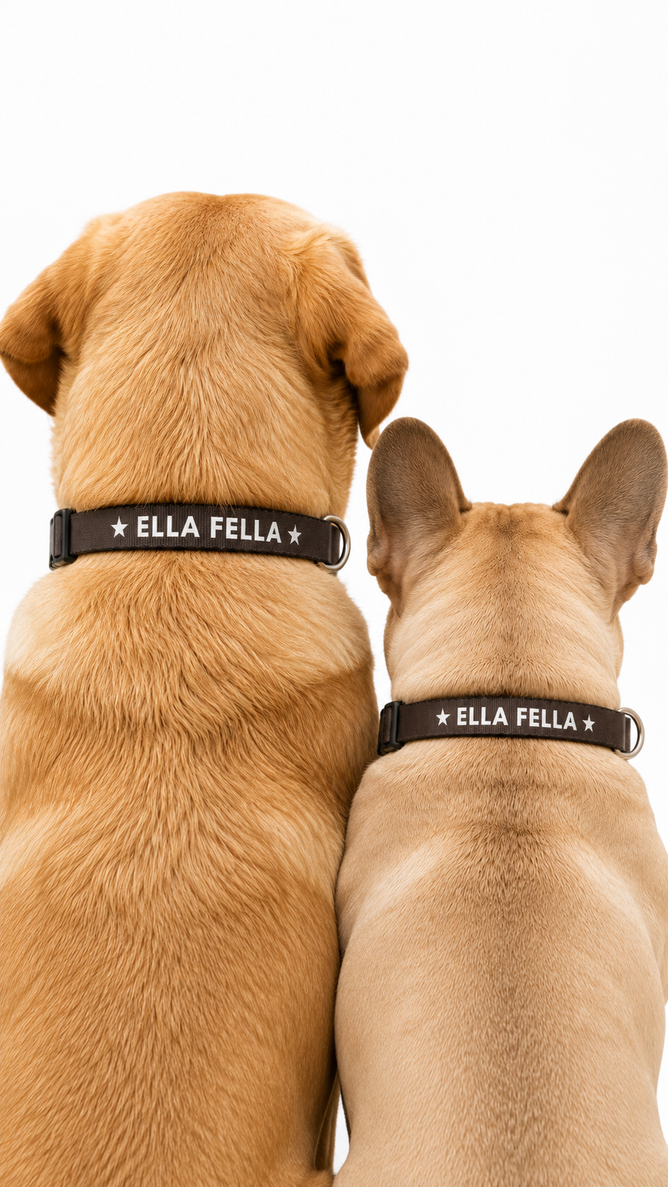 Ella Fella Brown Dog Collar, Western Dog, Country Pet, Farm Dog, Rustic Dog Collar, Gift for Dog Lover, Cute Dog Accessory