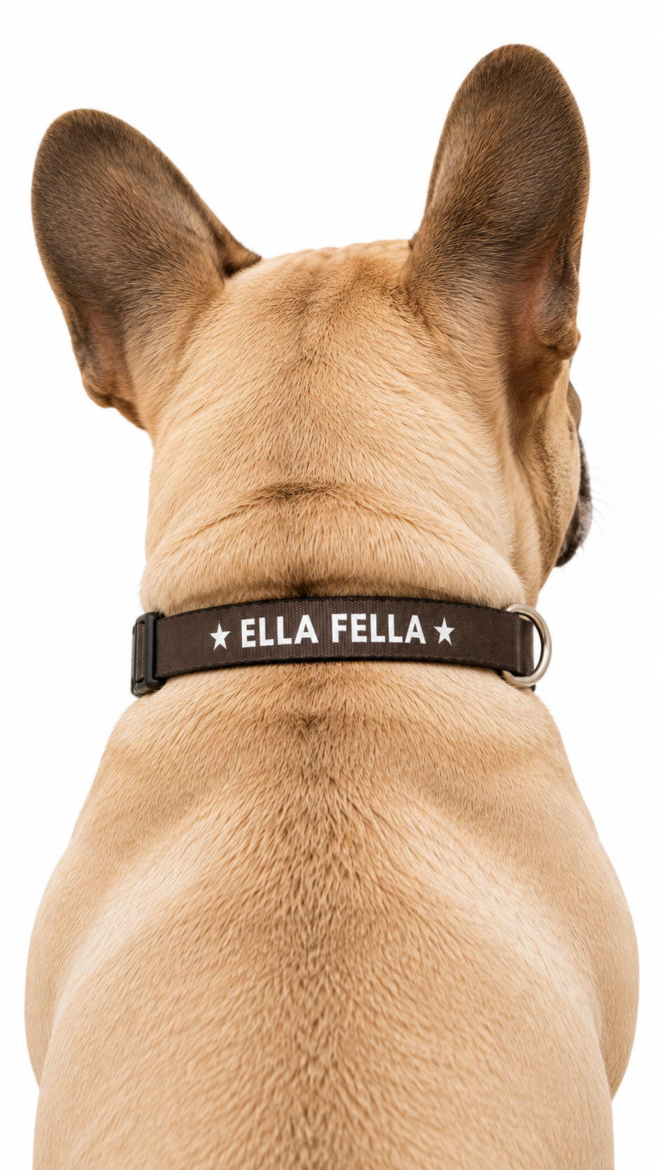 Ella Fella Brown Dog Collar, Western Dog, Country Pet, Farm Dog, Rustic Dog Collar, Gift for Dog Lover, Cute Dog Accessory