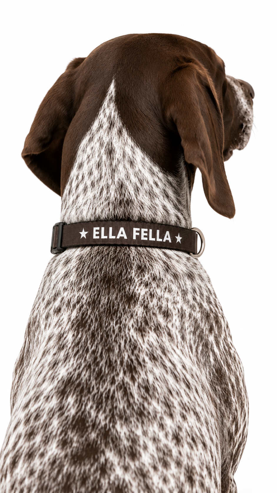 Ella Fella Brown Dog Collar, Western Dog, Country Pet, Farm Dog, Rustic Dog Collar, Gift for Dog Lover, Cute Dog Accessory