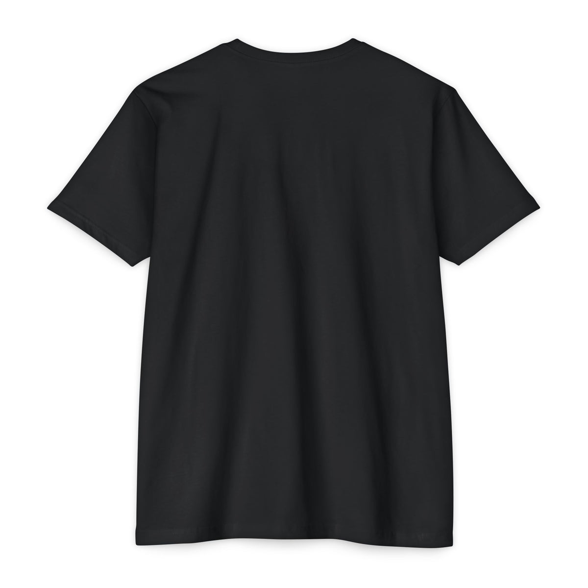 Washington Mountains T-Shirt, Vintage State Park Peaks Tee