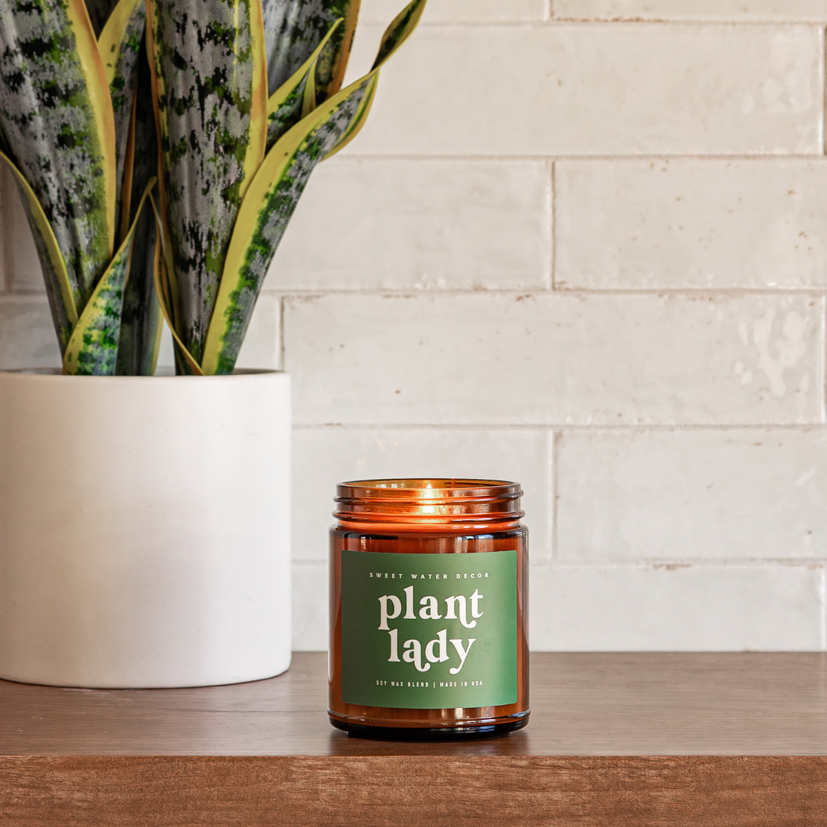 Plant Lady 9 oz Soy Candle - LIMITED EDITION