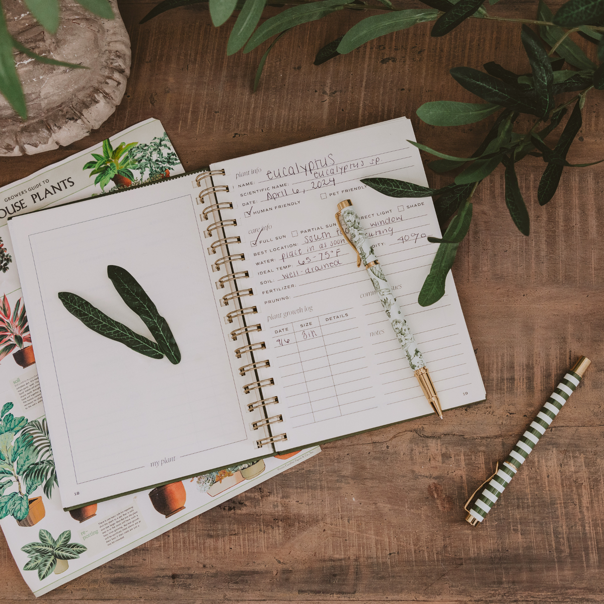 *NEW* Indoor/Outdoor Plant Journal