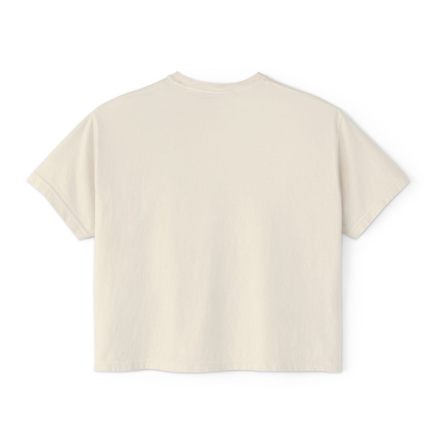Slam Pig Yacht Club Tee | Rhode Island Nautical Graphic Shirt