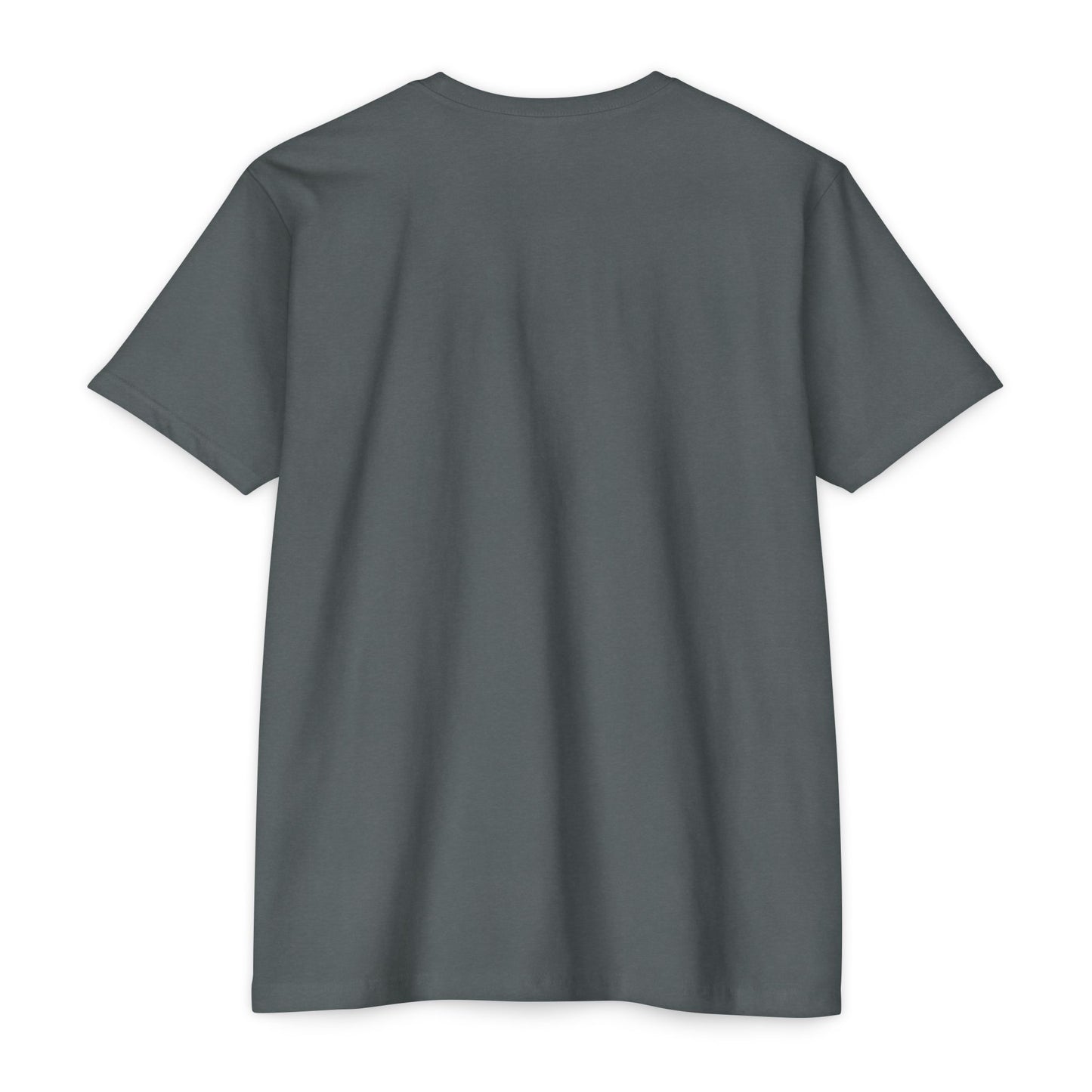 Washington Mountains T-Shirt — Vintage State Park Peaks Tee