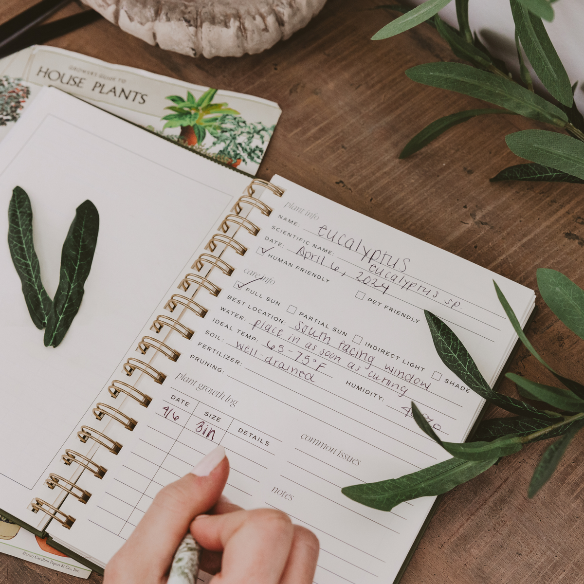 *NEW* Indoor/Outdoor Plant Journal